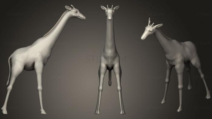3D model Giraffe163 (STL)